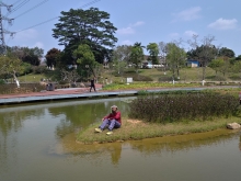 Thumbnail of pic_WaiG_028.jpg