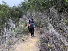 Thumbnail of P3290033.JPG