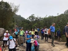 Thumbnail of P3290093.JPG