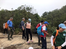 Thumbnail of P3290094.JPG