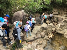 Thumbnail of P3290106.JPG