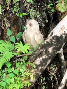 Thumbnail of P4050022.JPG