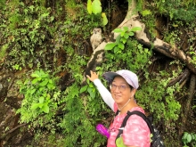 Thumbnail of P4050024.JPG