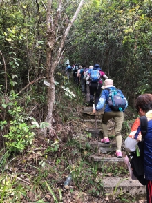 Thumbnail of P4120005.JPG