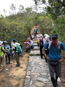 Thumbnail of P4120012.JPG