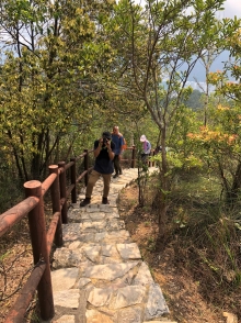 Thumbnail of P4120016.JPG