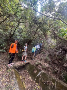 Thumbnail of pic_Paul_Tsang_017.jpg