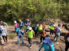 Thumbnail of P4190021.JPG