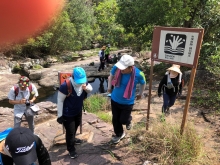 Thumbnail of P4190022.JPG