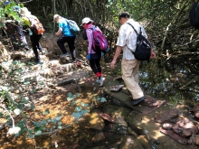 Thumbnail of P4190023.JPG