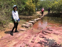 Thumbnail of P4190030.JPG