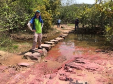 Thumbnail of P4190031.JPG