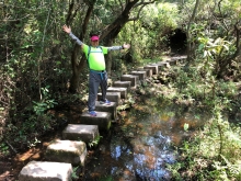 Thumbnail of P4190033.JPG