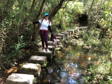 Thumbnail of P4190041.JPG