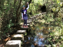 Thumbnail of P4190046.JPG