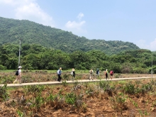 Thumbnail of P4190061.JPG