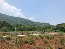 Thumbnail of P4190062.JPG