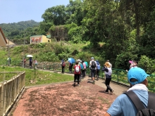 Thumbnail of P4190063.JPG