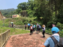 Thumbnail of P4190064.JPG