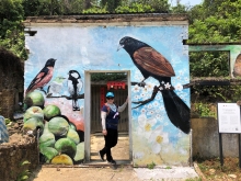 Thumbnail of P4190068.JPG