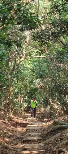 Thumbnail of pic_Derek_Wong_100.jpg