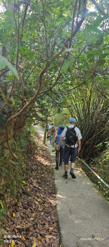 Thumbnail of pic_Fong_016.jpg