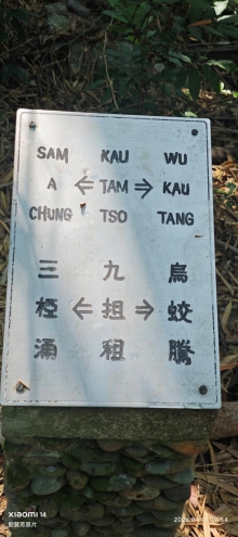 Thumbnail of pic_Fong_020.jpg