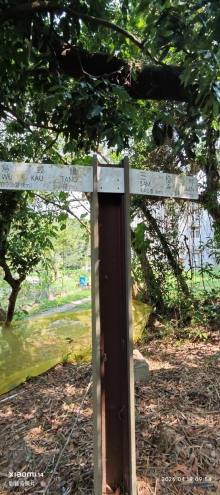 Thumbnail of pic_Fong_021.jpg