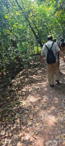 Thumbnail of pic_Fong_028.jpg