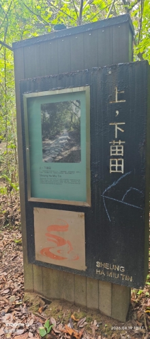 Thumbnail of pic_Fong_030.jpg