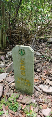 Thumbnail of pic_Fong_031.jpg