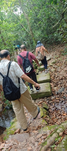 Thumbnail of pic_Fong_032.jpg