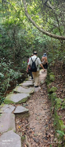 Thumbnail of pic_Fong_036.jpg