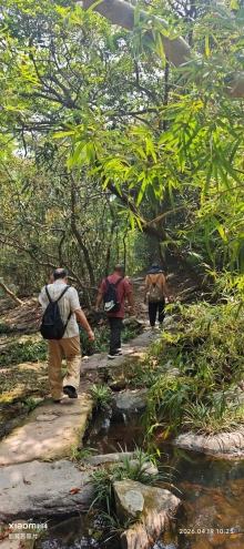 Thumbnail of pic_Fong_039.jpg