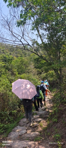 Thumbnail of pic_Fong_046.jpg