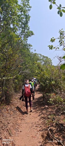 Thumbnail of pic_Fong_053.jpg