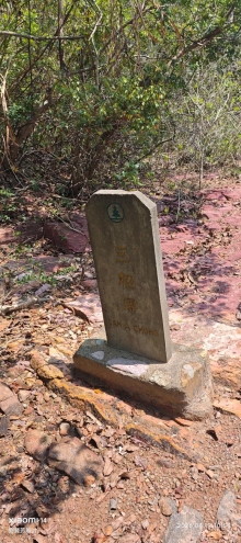 Thumbnail of pic_Fong_054.jpg