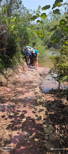 Thumbnail of pic_Fong_056.jpg