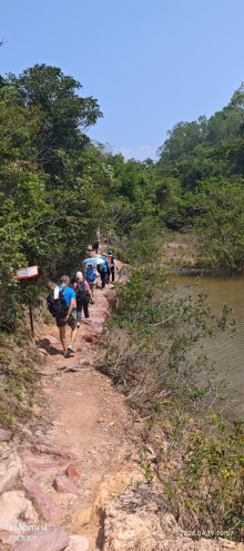 Thumbnail of pic_Fong_057.jpg