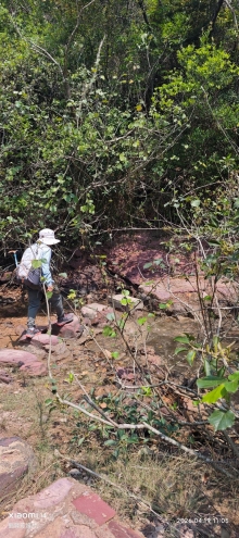 Thumbnail of pic_Fong_059.jpg