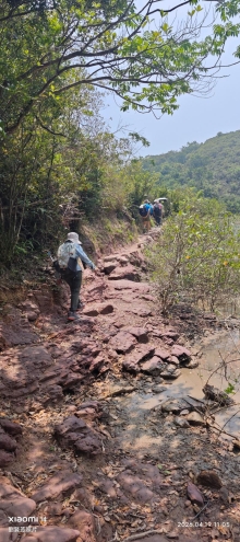 Thumbnail of pic_Fong_060.jpg