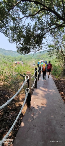 Thumbnail of pic_Fong_065.jpg