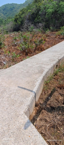 Thumbnail of pic_Fong_068.jpg