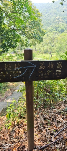 Thumbnail of pic_Fong_070.jpg