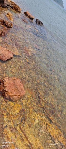 Thumbnail of pic_Fong_071.jpg