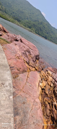 Thumbnail of pic_Fong_072.jpg