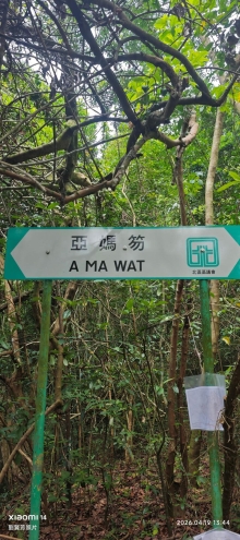 Thumbnail of pic_Fong_093.jpg