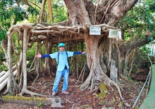 Thumbnail of pic_Lee_Shing_026.JPG