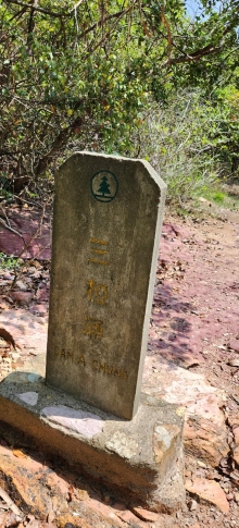 Thumbnail of pic_Si9_017.jpg