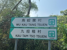 Thumbnail of pic_TB_Tung_001.JPG